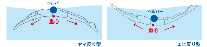 ヤマ反り型 エビ反り型