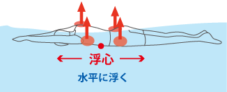 浮心 水平に浮く